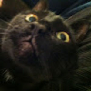 Meet your Posher, Bonnie